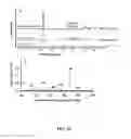 Fig. 16 - Benzylisoquinoline Alkaloid (BIA) Precursor Producing Microbes, and Methods of Making and Using the Same