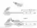 Fig. 01 - Genetically-mutated bacterial strain for detecting estrogenic compound and method for detecting estrogenic compound using the same