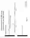 Fig. 45 - COMPOSITIONS AND METHODS FOR THE DETECTION OF NUCLEIC ACIDS