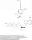 Fig. 32 - 3′-OH unblocked, fast photocleavable terminating nucleotides and methods for nucleic acid sequencing