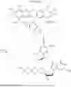 Fig. 43 - 3′-OH unblocked, fast photocleavable terminating nucleotides and methods for nucleic acid sequencing