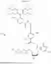 Fig. 44 - 3′-OH unblocked, fast photocleavable terminating nucleotides and methods for nucleic acid sequencing