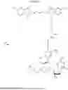 Fig. 48 - 3′-OH unblocked, fast photocleavable terminating nucleotides and methods for nucleic acid sequencing