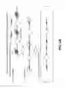 Fig. 03 - Transposase-based genomic analysis