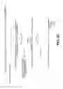 Fig. 10 - Transposase-based genomic analysis