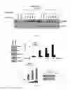 Fig. 14 - Biomarker for predicting sensitivity to EGFR-targeting agent, and use thereof