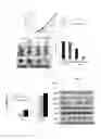 Fig. 19 - Biomarker for predicting sensitivity to EGFR-targeting agent, and use thereof