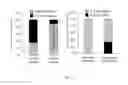 Fig. 20 - Biomarker for predicting sensitivity to EGFR-targeting agent, and use thereof