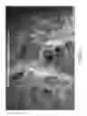 Fig. 15 - Microwave assisted synthesis of metal oxyhydroxides