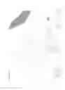 Fig. 05 - PORCH AND STEP FORMING SYSTEM AND METHOD