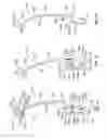 Fig. 07 - Rolling shutter slat