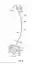 Fig. 08 - Rolling shutter slat