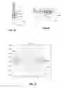Fig. 07 - Systems and methods for enhancing energy extraction from geothermal wells