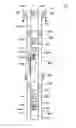 Fig. 01 - APPARATUS AND METHOD FOR PUMPING FLUID IN A BOREHOLE