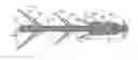 Fig. 01 - Wiper dart with reinforced drive element