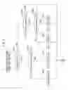 Fig. 07 - Exhaust purification system of internal combustion engine