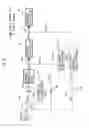 Fig. 09 - Exhaust purification system of internal combustion engine