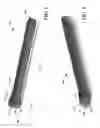 Fig. 02 - Chip break bolt head