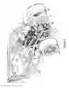 Fig. 02 - Gearbox mounting system