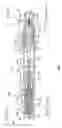 Fig. 05 - Pressure-balanced pull-type manual actuation mechanism for a valve