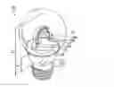Fig. 01 - LED filament and LED light bulb