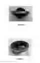 Fig. 04 - Solar disk light with swivel mount