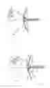 Fig. 05 - Tensioning device for a crossbow, and crossbow comprising such a tensioning device