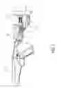 Fig. 06 - Adjustable stock for firearm