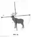 Fig. 17 - Ballistic aiming system with digital reticle
