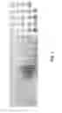 Fig. 02 - Rapid pH measurement