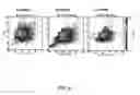 Fig. 07 - IMMS METHOD FOR PETROLEUM FEEDSTOCK EVALUATION