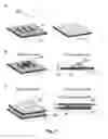 Fig. 02 - Devices and methods for white blood cell analyses