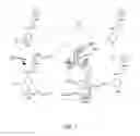 Fig. 02 - Quinone methide analog signal amplification