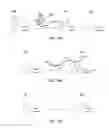 Fig. 05 - Quinone methide analog signal amplification