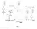 Fig. 07 - Quinone methide analog signal amplification