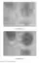 Fig. 16 - Quinone methide analog signal amplification