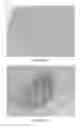 Fig. 19 - Quinone methide analog signal amplification