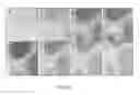 Fig. 23 - Quinone methide analog signal amplification