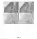 Fig. 43 - Quinone methide analog signal amplification