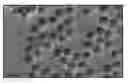 Fig. 01 - Plasmonic nanoparticles, methods of making plasmonic nanoparticles and sensors made therefrom