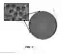 Fig. 03 - Plasmonic nanoparticles, methods of making plasmonic nanoparticles and sensors made therefrom