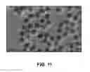 Fig. 09 - Plasmonic nanoparticles, methods of making plasmonic nanoparticles and sensors made therefrom