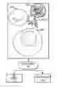 Fig. 01 - Hematology analyzers and methods of operation