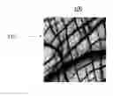 Fig. 01 - METHOD AND APPARATUS FOR MAP INFERENCE SIGNAL RECONSTRUCTION