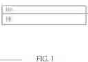 Fig. 02 - Light wave-guide optical element and method for forming the same