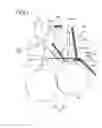 Fig. 04 - Image forming apparatus