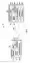 Fig. 08 - Systems and Methods for Determining Tractor-Trailer Angles and Distances
