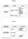 Fig. 06 - Information processing apparatus with concealed information