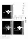 Fig. 05 - Ranking images based on image effects