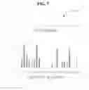 Fig. 08 - Multiplication-free approximation for neural networks and sparse coding